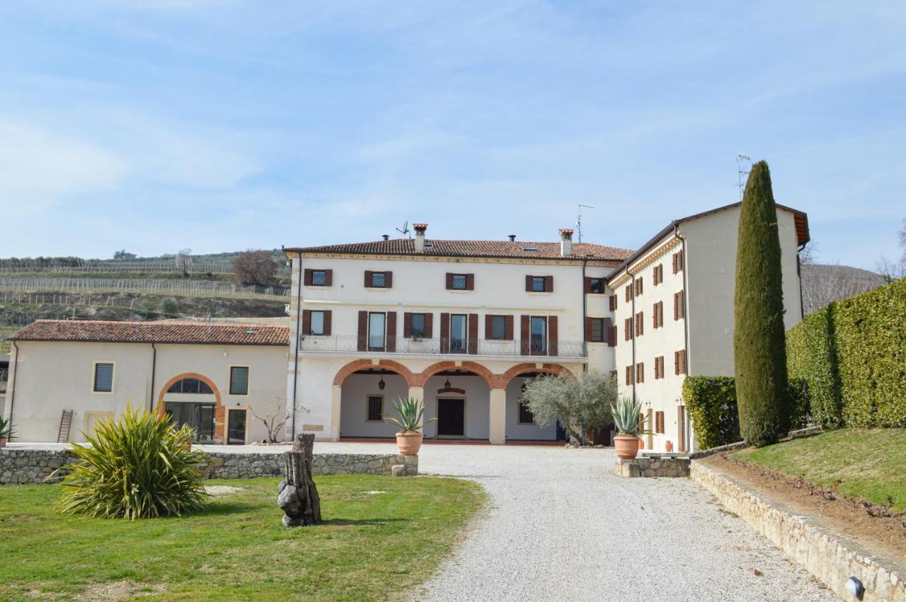 Verdeolivo 1876 - Apartments & Pool Mezzane di Sotto Bagian luar foto